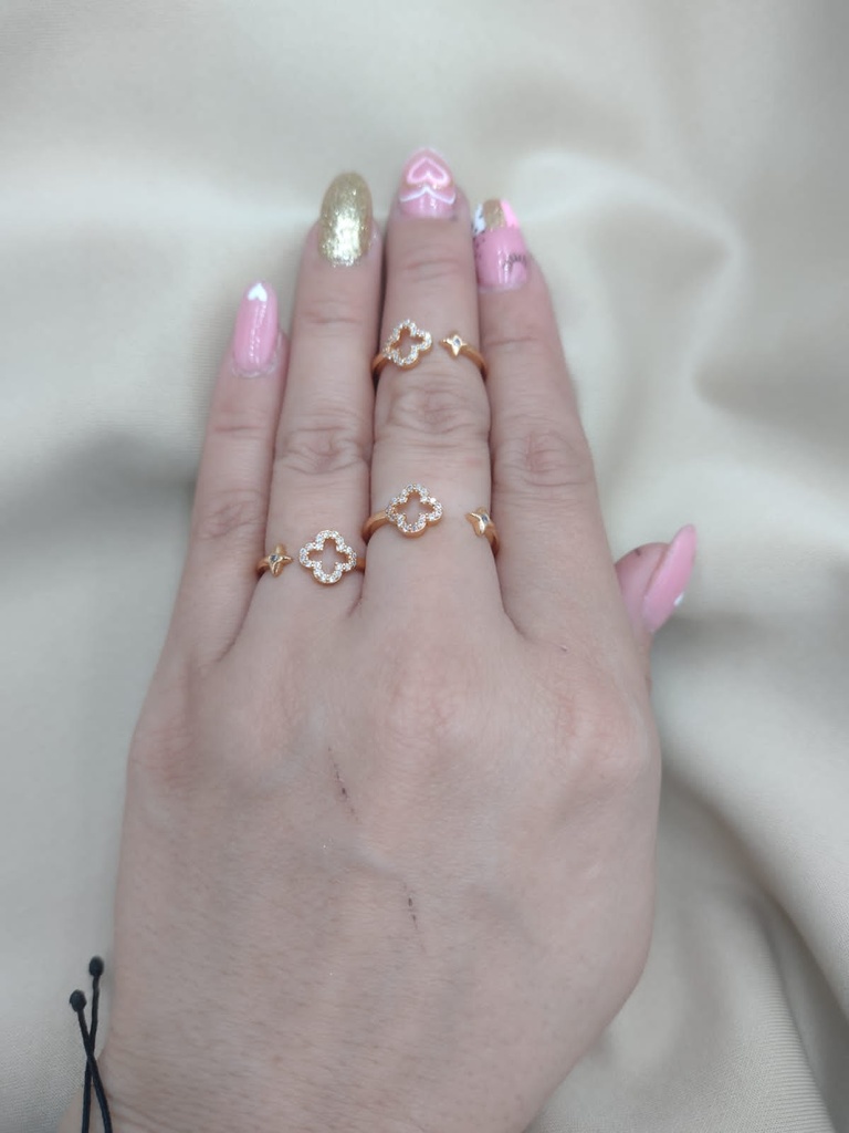 Anillo LV