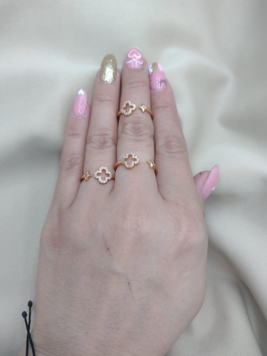 Anillo LV